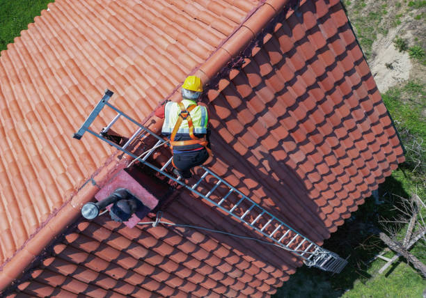 Best Roof Maintenance and Cleaning  in Ruidoso Downs, NM